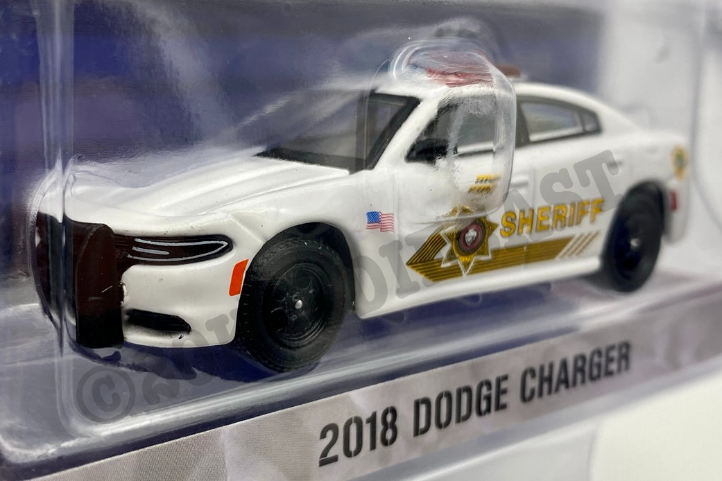 Greenlight 1/64 Exclusive (SEBA) - 2018 Dodge Charger - San Bernardino –  20KM Diecast